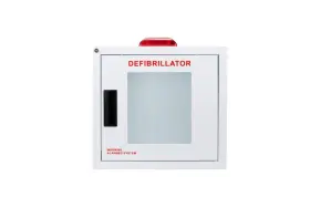 Cs-cb2-ls Cubix Safety Standard Large Aed Cabinet With Alarm And Strobe
