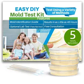 Gd-u6d8-0q5z Es Evviva Sciences Mold Test Kit For Home - 5 Simple Detection Tests Without Ptional
