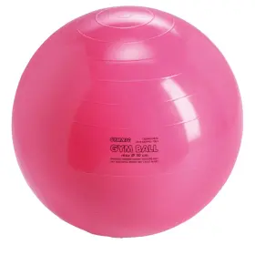 008677 Kettler Gymnic Physio Balance Therapy Ball 12 Inch Pink Holds 300 Pounds